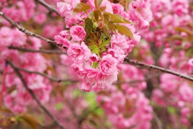 湖州吴兴区8线下个人借款平台一站式服务，轻松解决资金难题