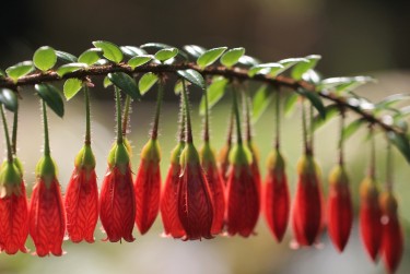 湖州吴兴区8零用贷短借：轻松解决临时资金需求