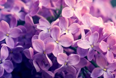 湖州吴兴区8企业急用钱贷款攻略：快速融资解燃眉之急